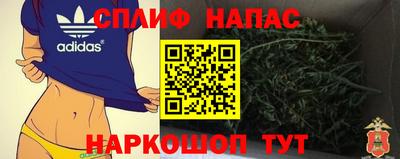 ГАЛЛЮЦИНОГЕННЫЕ ГРИБЫ Славгород