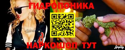 ГАЛЛЮЦИНОГЕННЫЕ ГРИБЫ Славгород