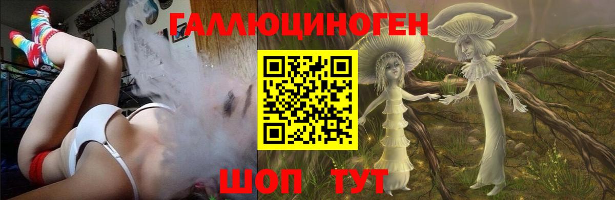 Псилоцибиновые грибы Psilocybine cubensis Новочеркасск