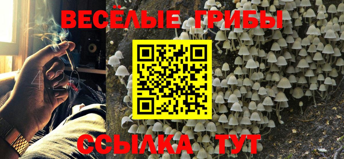 Псилоцибиновые грибы мухоморы  Галлюциногенные грибы Magic Shrooms  Вход с VPN  Новочеркасск 
